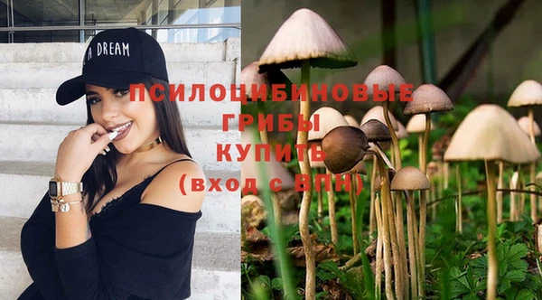 винт Беломорск