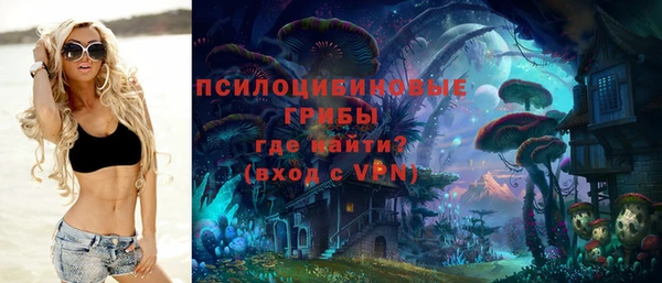а пвп мука Белокуриха