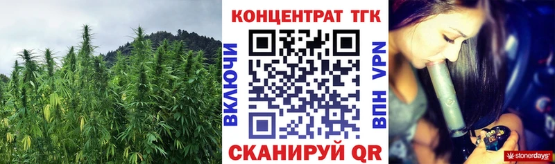 сколько стоит Высоцк ТГК вейп с тгк