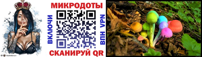 Псилоцибиновые грибы ЛСД  Высоцк 