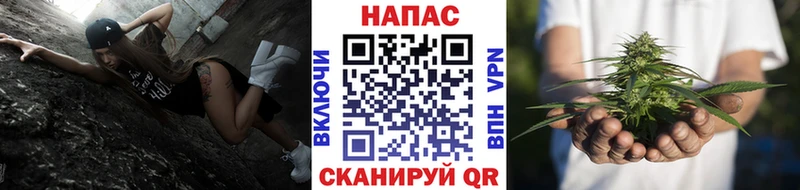 МАРИХУАНА гибрид Высоцк